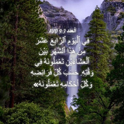 Picture 04 - اَلْعَدَد 9:3 AVD - فِي ٱلْيَوْمِ ٱلرَّابِعَ - Bible Verse Picture