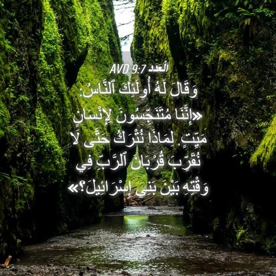 Picture 04 - اَلْعَدَد 9:7 AVD - وَقَالَ لَهُ أُولَئِكَ - Bible Verse Picture
