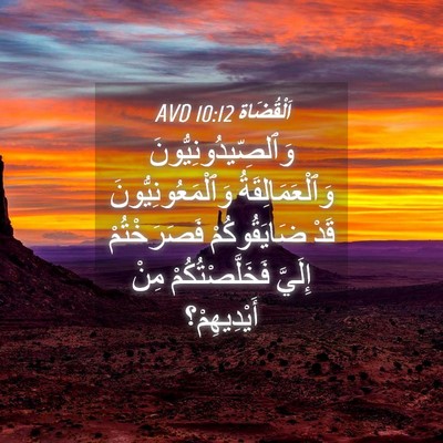 Picture 04 - اَلْقُضَاة 10:12 AVD - وَٱلصِّيدُونِيُّونَ - Bible Verse Picture