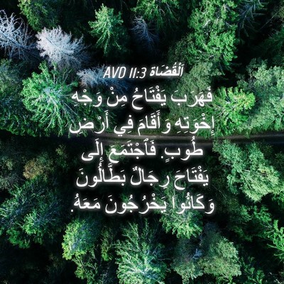 Picture 04 - اَلْقُضَاة 11:3 AVD - فَهَرَبَ يَفْتَاحُ مِنْ - Bible Verse Picture