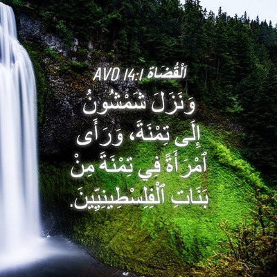 Picture 04 - اَلْقُضَاة 14:1 AVD - وَنَزَلَ شَمْشُونُ إِلَى - Bible Verse Picture