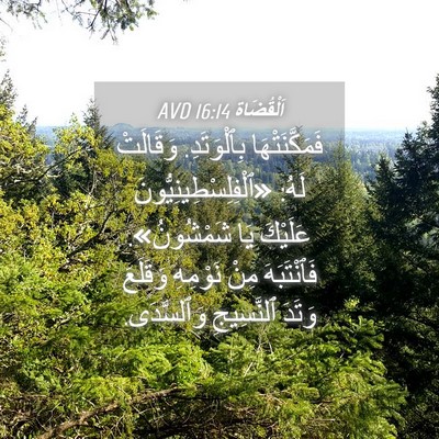 Picture 04 - اَلْقُضَاة 16:14 AVD - فَمَكَّنَتْهَا - Bible Verse Picture