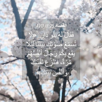 Picture 04 - اَلْقُضَاة 18:25 AVD - فَقَالَ لَهُ بَنُو دَانٍ: - Bible Verse Picture