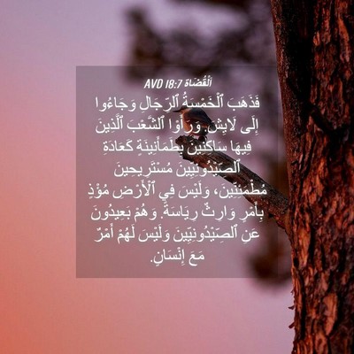 Picture 04 - اَلْقُضَاة 18:7 AVD - فَذَهَبَ ٱلْخَمْسَةُ - Bible Verse Picture