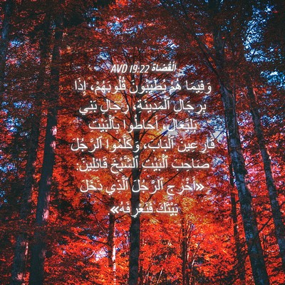 Picture 04 - اَلْقُضَاة 19:22 AVD - وَفِيمَا هُمْ - Bible Verse Picture