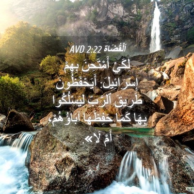 Picture 04 - اَلْقُضَاة 2:22 AVD - لِكَيْ أَمْتَحِنَ بِهِمْ - Bible Verse Picture