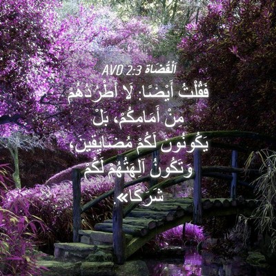 Picture 04 - اَلْقُضَاة 2:3 AVD - فَقُلْتُ أَيْضًا: لَا - Bible Verse Picture