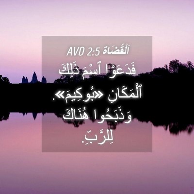 Picture 04 - اَلْقُضَاة 2:5 AVD - فَدَعَوْا ٱسْمَ ذَلِكَ - Bible Verse Picture