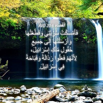 Picture 04 - اَلْقُضَاة 20:6 AVD - فَأَمْسَكْتُ سُرِّيَّتِي - Bible Verse Picture
