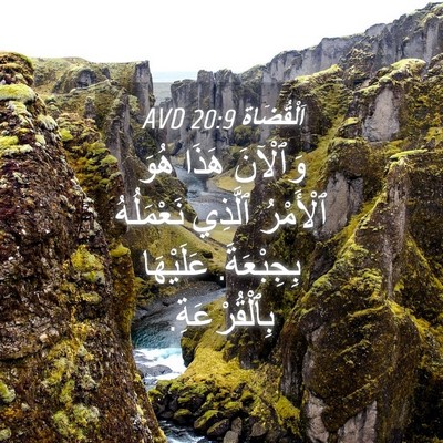 Picture 04 - اَلْقُضَاة 20:9 AVD - وَٱلْآنَ هَذَا هُوَ - Bible Verse Picture