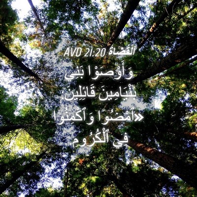 Picture 04 - اَلْقُضَاة 21:20 AVD - وَأَوْصَوْا بَنِي - Bible Verse Picture