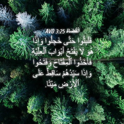 Picture 04 - اَلْقُضَاة 3:25 AVD - فَلَبِثُوا حَتَّى - Bible Verse Picture