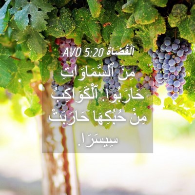 Picture 04 - اَلْقُضَاة 5:20 AVD - مِنَ ٱلسَّمَاوَاتِ - Bible Verse Picture