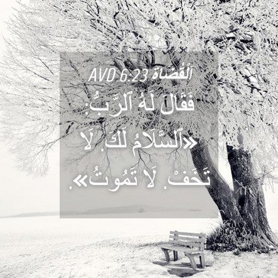 Picture 04 - اَلْقُضَاة 6:23 AVD - فَقَالَ لَهُ ٱلرَّبُّ: - Bible Verse Picture