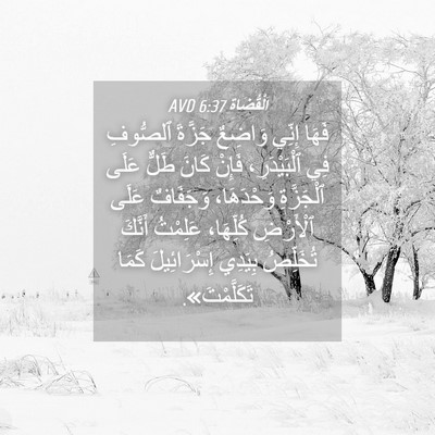 Picture 04 - اَلْقُضَاة 6:37 AVD - فَهَا إِنِّي وَاضِعٌ - Bible Verse Picture