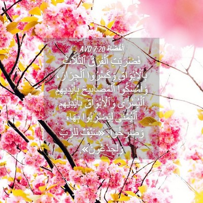 Picture 04 - اَلْقُضَاة 7:20 AVD - فَضَرَبَتِ ٱلْفِرَقُ - Bible Verse Picture