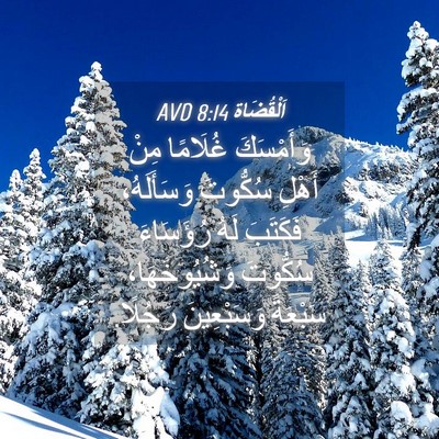 Picture 04 - اَلْقُضَاة 8:14 AVD - وَأَمْسَكَ غُلَامًا مِنْ - Bible Verse Picture