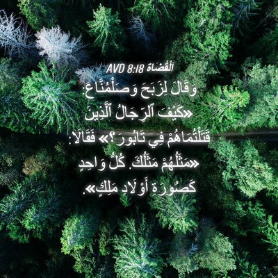 Picture 04 - اَلْقُضَاة 8:18 AVD - وَقَالَ لِزَبَحَ - Bible Verse Picture