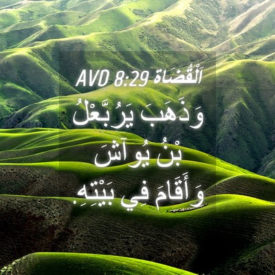 Picture 04 - اَلْقُضَاة 8:29 AVD - وَذَهَبَ يَرُبَّعْلُ بْنُ - Bible Verse Picture