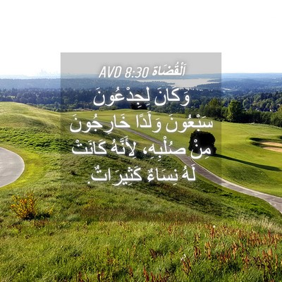 Picture 04 - اَلْقُضَاة 8:30 AVD - وَكَانَ لِجِدْعُونَ - Bible Verse Picture