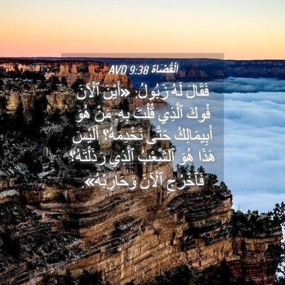 Picture 04 - اَلْقُضَاة 9:38 AVD - فَقَالَ لَهُ زَبُولُ: - Bible Verse Picture