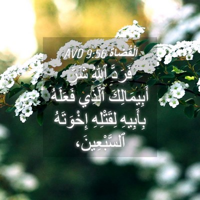 Picture 04 - اَلْقُضَاة 9:56 AVD - فَرَدَّ ٱللهُ شَرَّ - Bible Verse Picture
