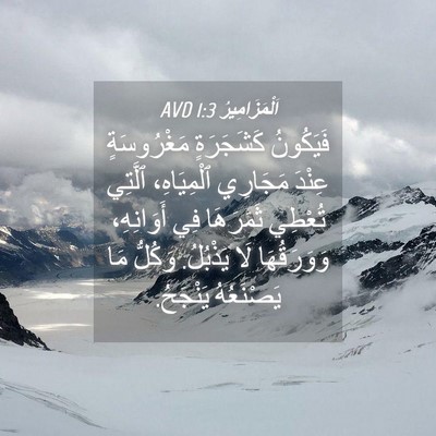 Picture 04 - اَلْمَزَامِيرُ 1:3 AVD - فَيَكُونُ كَشَجَرَةٍ - Bible Verse Picture