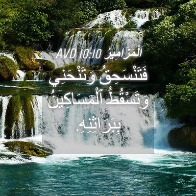 Picture 04 - اَلْمَزَامِيرُ 10:10 AVD - فَتَنْسَحِقُ وَتَنْحَنِي - Bible Verse Picture