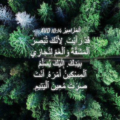 Picture 04 - اَلْمَزَامِيرُ 10:14 AVD - قَدْ رَأَيْتَ. لِأَنَّكَ - Bible Verse Picture