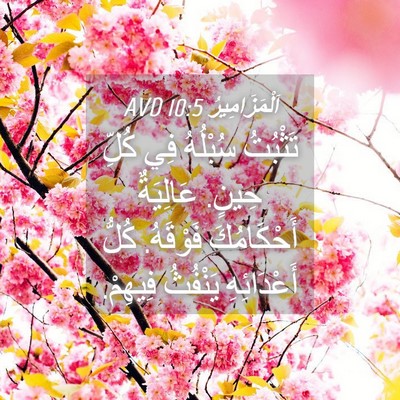 Picture 04 - اَلْمَزَامِيرُ 10:5 AVD - تَثْبُتُ سُبْلُهُ فِي - Bible Verse Picture