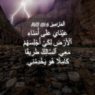 Picture 04 - اَلْمَزَامِيرُ 101:6 AVD - عَيْنَايَ عَلَى أُمَنَاءِ - Bible Verse Picture