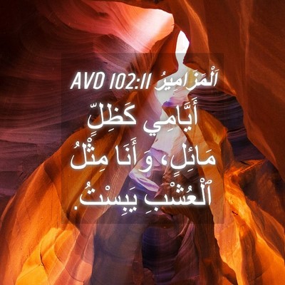 Picture 04 - اَلْمَزَامِيرُ 102:11 AVD - أَيَّامِي كَظِلٍّ - Bible Verse Picture