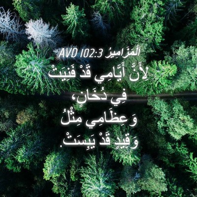 Picture 04 - اَلْمَزَامِيرُ 102:3 AVD - لِأَنَّ أَيَّامِي قَدْ - Bible Verse Picture