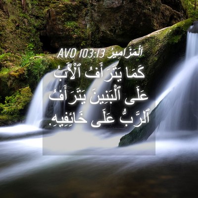 Picture 04 - اَلْمَزَامِيرُ 103:13 AVD - كَمَا يَتَرَأَفُ ٱلْأَبُ - Bible Verse Picture