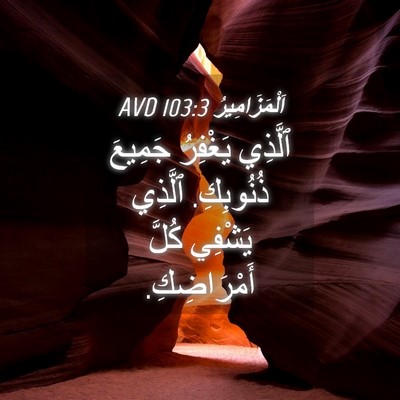 Picture 04 - اَلْمَزَامِيرُ 103:3 AVD - ٱلَّذِي يَغْفِرُ جَمِيعَ - Bible Verse Picture
