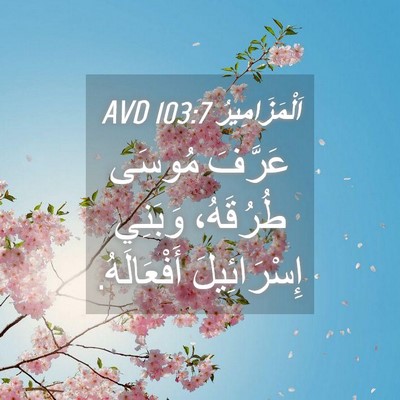 Picture 04 - اَلْمَزَامِيرُ 103:7 AVD - عَرَّفَ مُوسَى طُرُقَهُ، - Bible Verse Picture