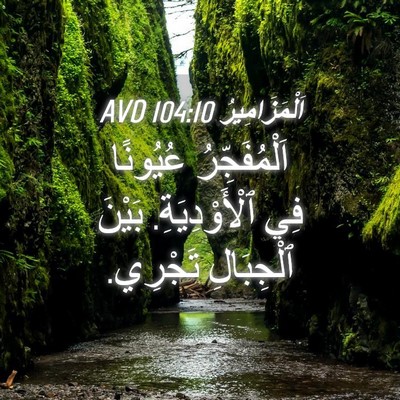 Picture 04 - اَلْمَزَامِيرُ 104:10 AVD - اَلْمُفَجِّرُ عُيُونًا - Bible Verse Picture