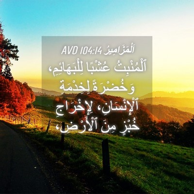 Picture 04 - اَلْمَزَامِيرُ 104:14 AVD - ٱلْمُنْبِتُ عُشْبًا - Bible Verse Picture
