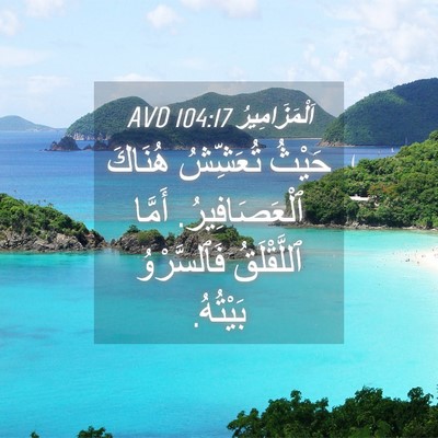 Picture 04 - اَلْمَزَامِيرُ 104:17 AVD - حَيْثُ تُعَشِّشُ هُنَاكَ - Bible Verse Picture