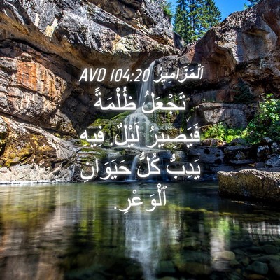 Picture 04 - اَلْمَزَامِيرُ 104:20 AVD - تَجْعَلُ ظُلْمَةً - Bible Verse Picture