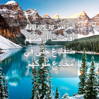 Picture 04 - اَلْمَزَامِيرُ 105:30 AVD - أَفَاضَتْ أَرْضُهُمْ - Bible Verse Picture