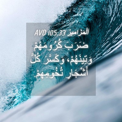 Picture 04 - اَلْمَزَامِيرُ 105:33 AVD - ضَرَبَ كُرُومَهُمْ - Bible Verse Picture