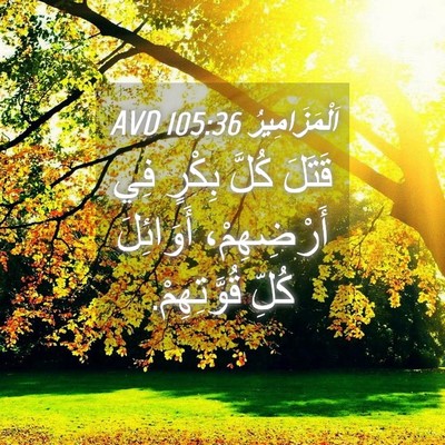 Picture 04 - اَلْمَزَامِيرُ 105:36 AVD - قَتَلَ كُلَّ بِكْرٍ فِي - Bible Verse Picture