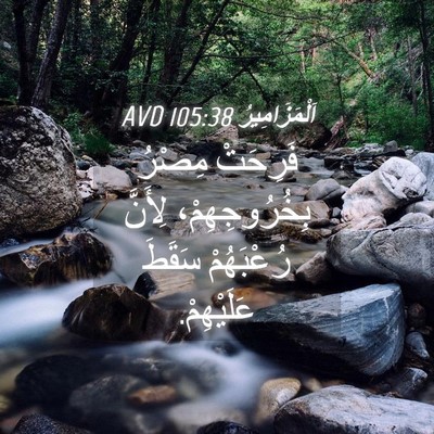 Picture 04 - اَلْمَزَامِيرُ 105:38 AVD - فَرِحَتْ مِصْرُ - Bible Verse Picture