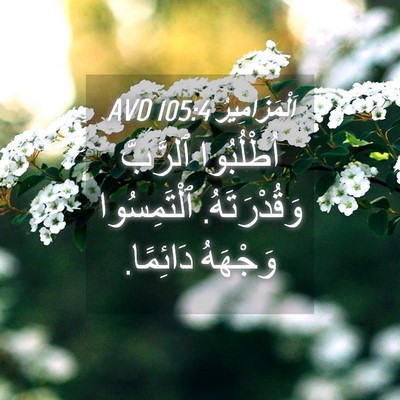 Picture 04 - اَلْمَزَامِيرُ 105:4 AVD - اُطْلُبُوا ٱلرَّبَّ - Bible Verse Picture