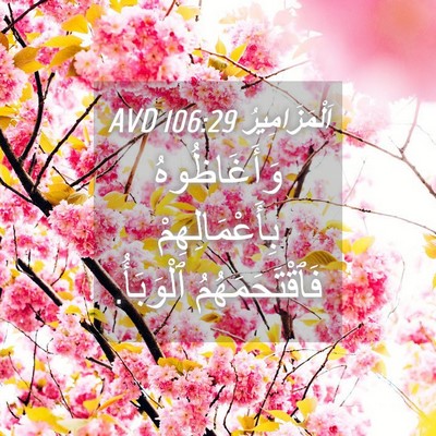 Picture 04 - اَلْمَزَامِيرُ 106:29 AVD - وَأَغَاظُوهُ - Bible Verse Picture