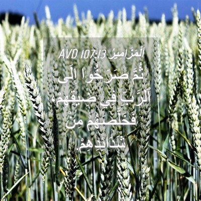 Picture 04 - اَلْمَزَامِيرُ 107:13 AVD - ثُمَّ صَرَخُوا إِلَى - Bible Verse Picture