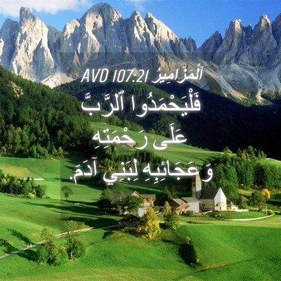 Picture 04 - اَلْمَزَامِيرُ 107:21 AVD - فَلْيَحْمَدُوا ٱلرَّبَّ - Bible Verse Picture