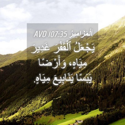 Picture 04 - اَلْمَزَامِيرُ 107:35 AVD - يَجْعَلُ ٱلْقَفْرَ - Bible Verse Picture