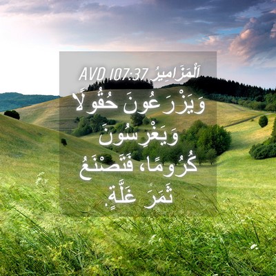 Picture 04 - اَلْمَزَامِيرُ 107:37 AVD - وَيَزْرَعُونَ حُقُولًا - Bible Verse Picture